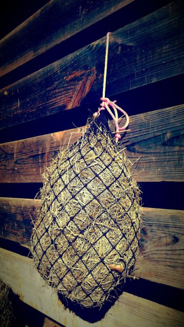 Small Feeding Net by Texas Haynet: click to enlarge