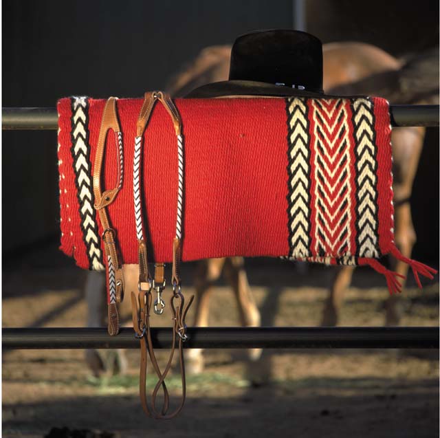Handmade Beaded Tack and Saddle Blanket Set: click to enlarge