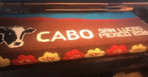 Cabo San Lucas &quot;Branded&quot; Saddle Blanket