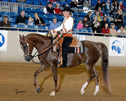 Brown Cow customer Diane Athey on her horse with a saddle blanket woven by Christina Bergh Woolley.